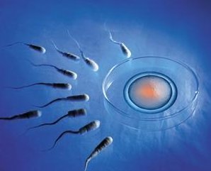 试管婴儿要去什么医院_【广州医院试管婴儿好】试管婴儿是什么？试管婴儿的风险有哪些？