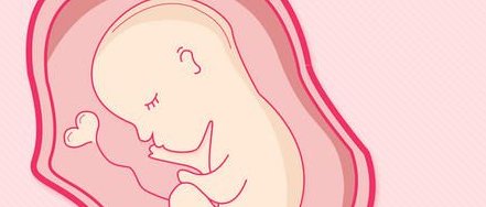 邢台试管婴儿成功率高，附邢台试管婴儿服务特点