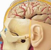 广西右医附院试管婴儿造娃价格明细