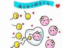 潮州市中心医院洗精费用多少钱？试管婴儿移植成功后检查流程有哪些？