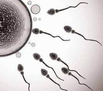 试管婴儿多次失败？可能是这些原因