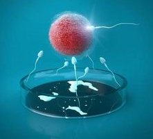 天津医科大学第二医院做三代试管成功率如何？一文读懂需要花多少钱