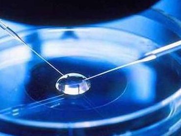 泰国试管婴儿医院的价格高吗？一般家庭可以吗？