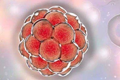 弱精症该怎么调理治疗？注意这5点能让精子强壮起来